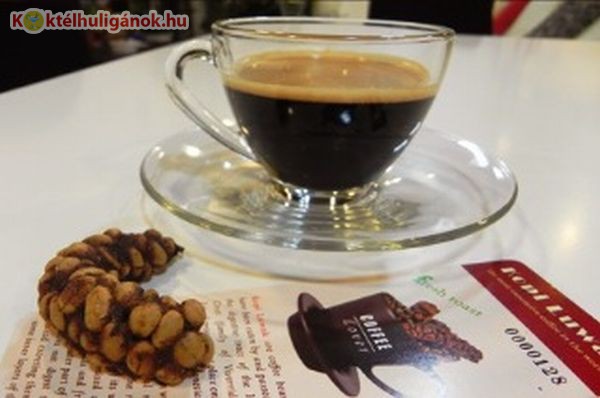 Macskaürülékből készül a világ legdrágább kávéja